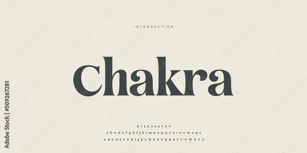 Royal, an elegant alphabet font and number. Premium uppercase fashion Design typography. vector illustration Royal, an elegant alphabet font and number. Premium uppercase fashion Design typography. vector illustration