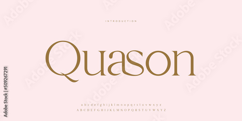 Royal, an elegant alphabet font and number. Premium uppercase fashion Design typography. vector illustration