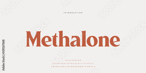 Royal, an elegant alphabet font and number. Premium uppercase fashion Design typography. vector illustration