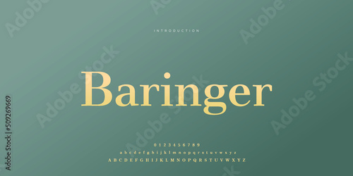 Royal, an elegant alphabet font and number. Premium uppercase fashion Design typography. vector illustration