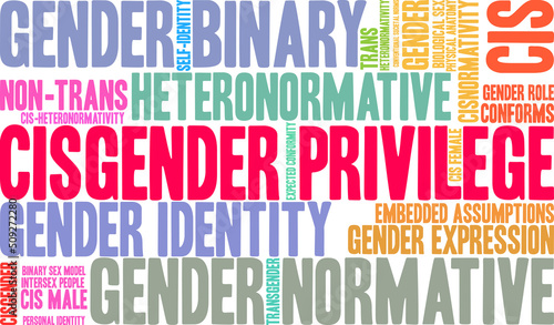 Cisgender Privilege Word Cloud on a white background. 