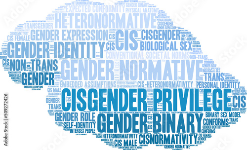 Cisgender Privilege Word Cloud on a white background. 