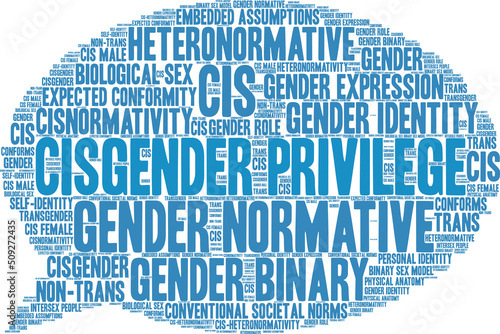 Cisgender Privilege Word Cloud on a white background. 