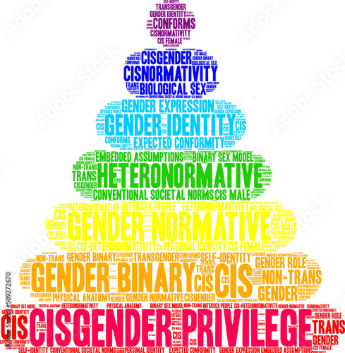 Cisgender Privilege Word Cloud on a white background. 