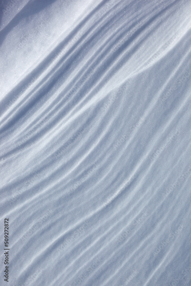 Obraz premium 雪の風紋