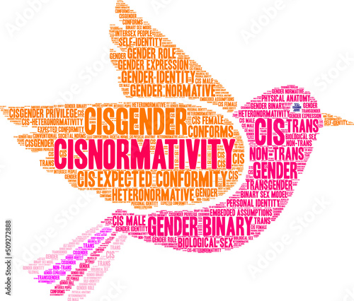 Cisnormativity Word Cloud on a white background. 