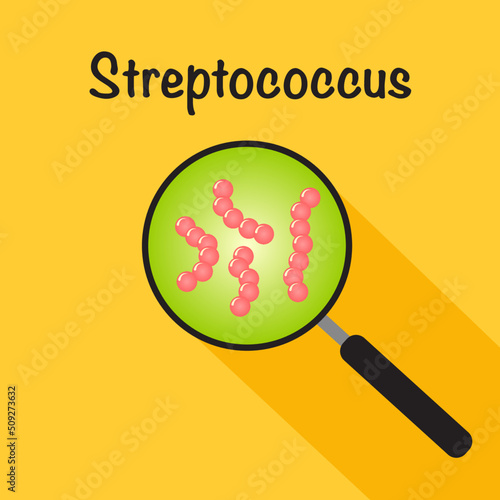 Vector Illustration of Streptococcus Magnified in Magnifying glass