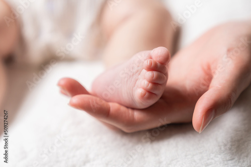 赤ちゃんの足 母さんの手