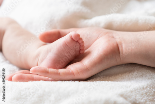 赤ちゃんの足 お母さんの手