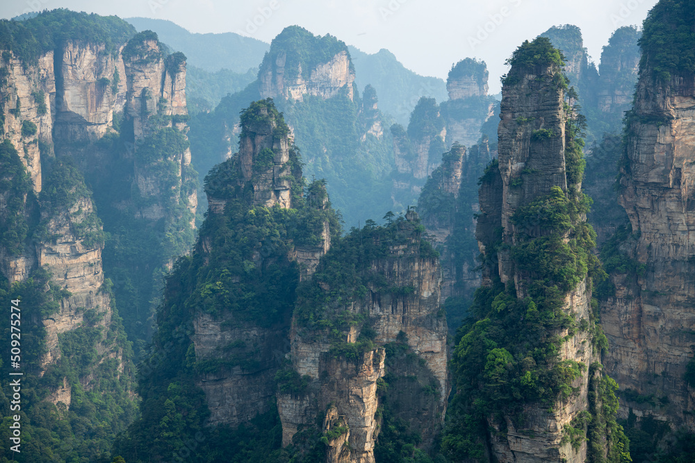 Wulingyuan National forest part, an inspiration for the Avatar movie, in Zhangjiajie, Hunan, China, background horizontal image with copy space for text Wulingyuan National forest part, an inspiration for the Avatar movie, in Zhangjiajie, Hunan, China, background horizontal image with copy space for text