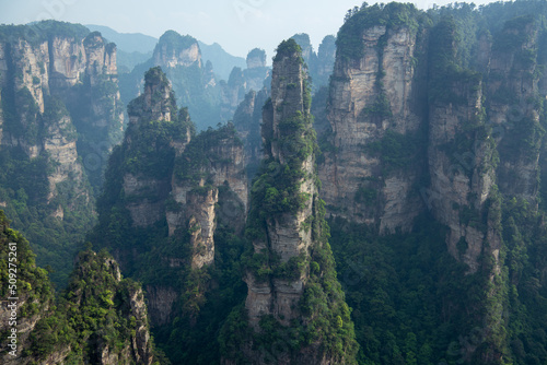 Limestone rocks of the Wulingyuan National forest part  an inspiration for the Avatar movie  in Zhangjiajie  Hunan  China  flying mountains  background image  copy sppace  horizontal