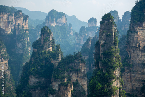 Horizontal image with copy space for text, Wulingyuan National forest part, an inspiration for the Avatar movie, in Zhangjiajie, Hunan, China