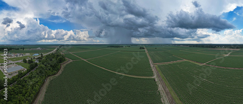 Платно Louisiana sugarcane field and farm land, cloudy weather with patches of rainfall
