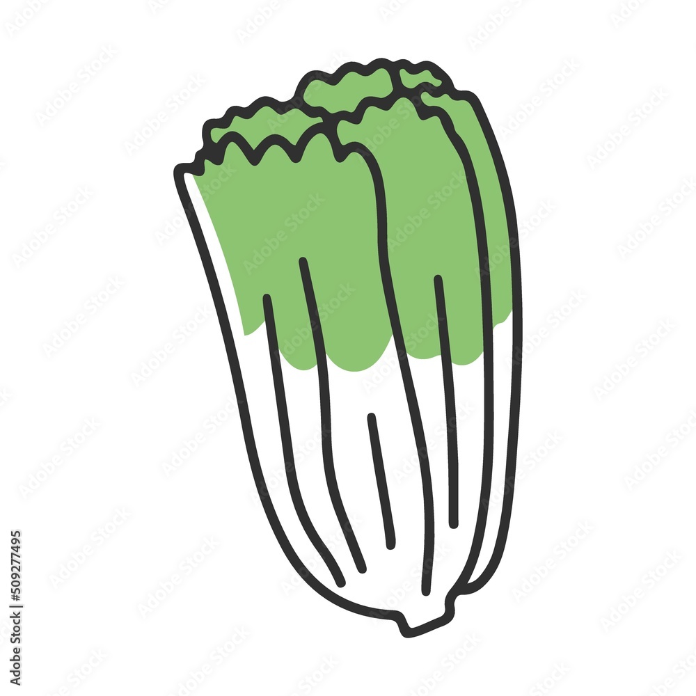 Delicious cauliflower, healthy and unhealthy nutrition. Cartoon vector