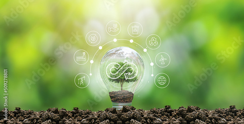 circular economy concept Increase energy use and CO2 emissions, share, reuse, repair, improve and recycle materials. Icon on a light bulb with a growing tree. photo