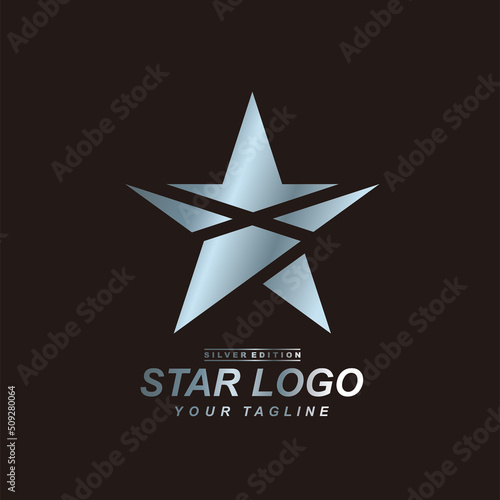 Star logo design in silver edition with elegant concept. 