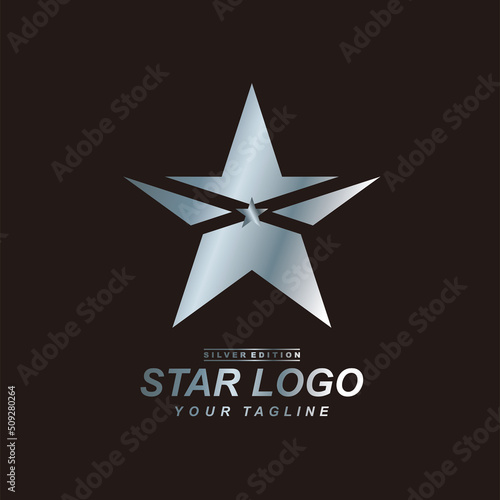 Silver star logo design in elegant concept. 