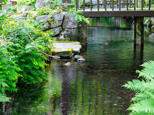 醒井宿の地蔵川 photo