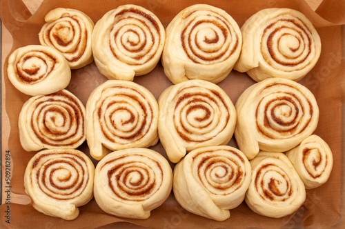 Blanks of cinnamon rolls dough are on greased parchment paper.