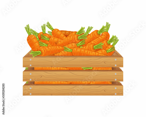 Carrot. Wooden box with carrots. carrots in a wooden box. Fresh vegetables in a box. Vector illustration isolated on a white background