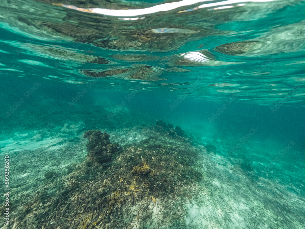 Underwater at the beach on the island