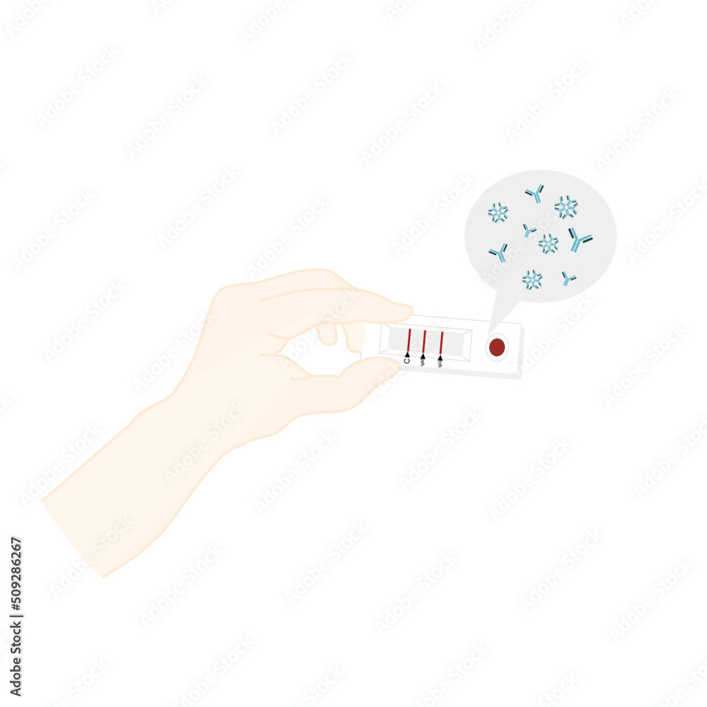 The antibody rapid test kit is held with human hand to observe or show the result : Positive or negative (Control, Immunoglobulin :IgM, IgG) after sample dropping and full of detection time. The antibody rapid test kit is held with human hand to observe or show the result : Positive or negative (Control, Immunoglobulin :IgM, IgG) after sample dropping and full of detection time.