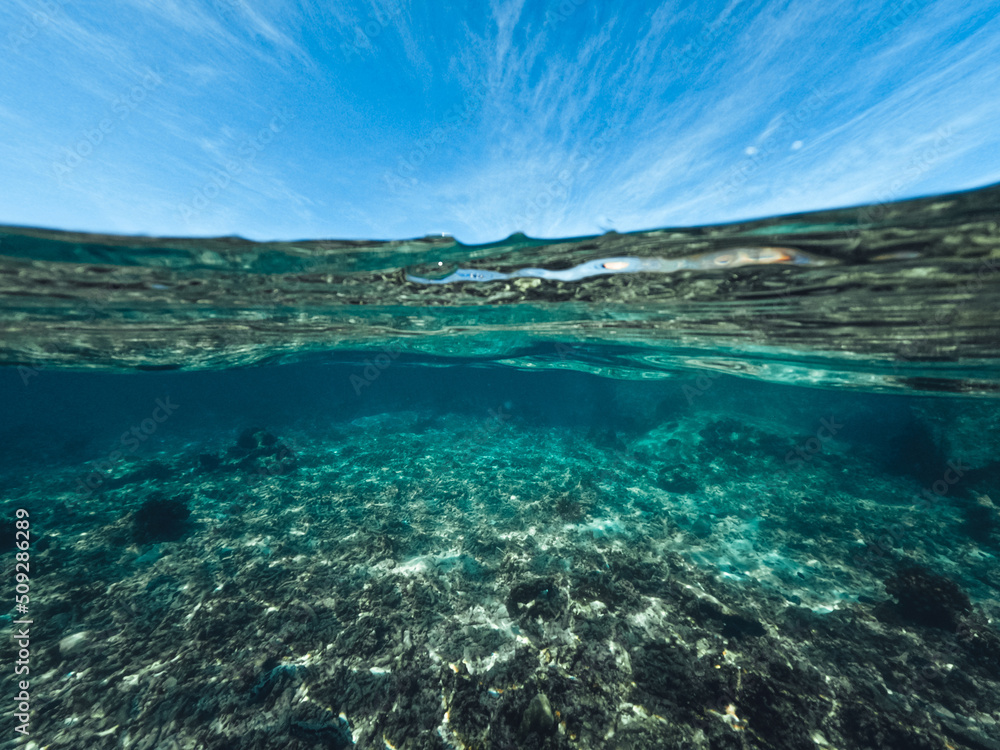 Fototapeta premium Underwater at the beach on the island