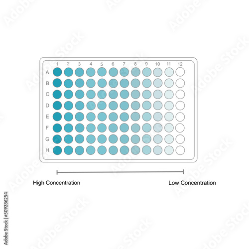 The concentration result of target molecule detection on ELISA plate that show the interpretation: High  to Low concentration in gradient color  
