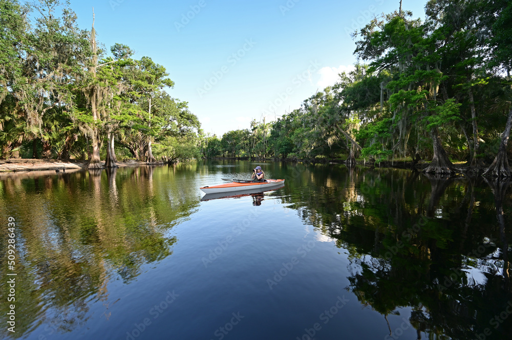 Fototapeta premium Woman kayaking on Fisheating Creek near Palmdale, Florida on calm summer afternoon.