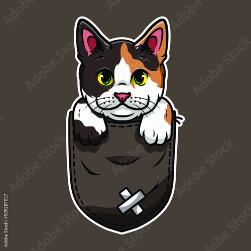 Cute cartoon cat in a pocket