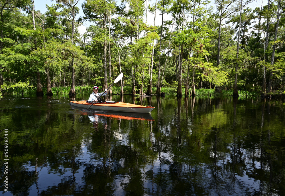 Woman kayaking on Fisheating Creek near Palmdale, Florida on calm summer afternoon.