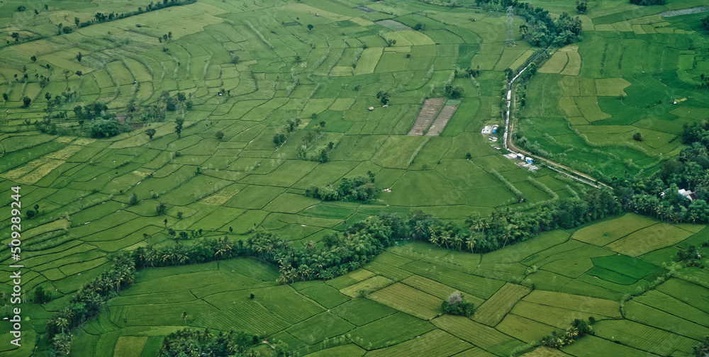 Rice field puzzle.
a series of rice fields from above is like a giant puzzle that is beautifully arranged
Rice field puzzle.
a series of rice fields from above is like a giant puzzle that is beautifully arranged