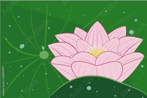 "Vector, graphic, illustration of vintage lotus floral pattern. Line art of a bunch of blooming lotus flower with leaves and water drops.