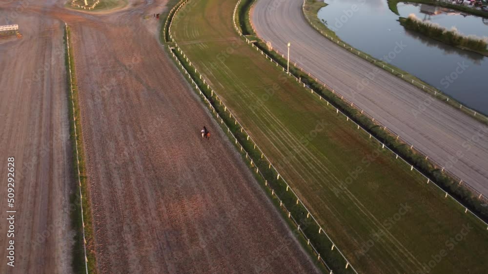 Solo horse equestrian crawling Hipodromo Palermo Buenos Aires Argentina Solo horse equestrian crawling Hipodromo Palermo Buenos Aires Argentina