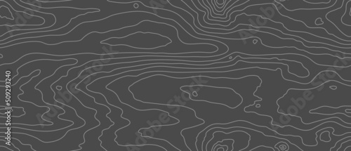 Wood grain black texture. Seamless wooden pattern. Abstract line background. Tree fiber vector illustration