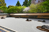 春の京都市の世界遺産龍安寺の石庭