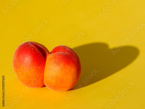 One ugly apricot with hard shadow in heart shape on bright yellow background, minimal style. Creative fresh summer fruit