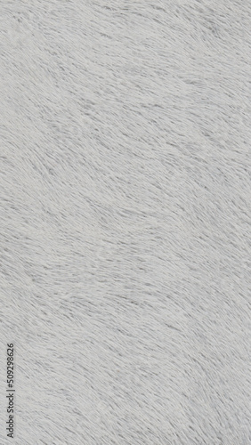 White Fur Background