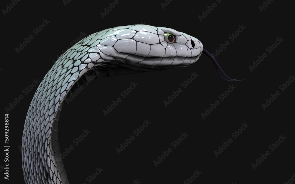 3d Illustration of Albino king cobra snake isolated on black background, White cobra snake with clipping path. 3d Illustration of Albino king cobra snake isolated on black background, White cobra snake with clipping path.