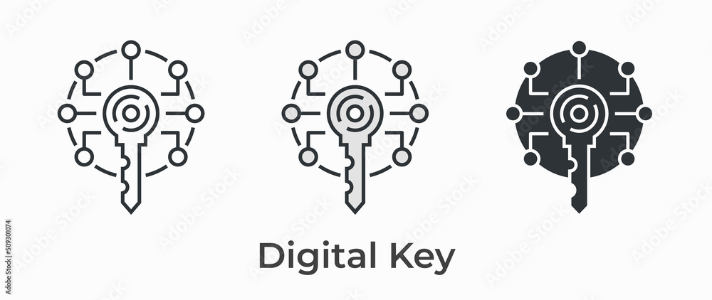 Digital key icon. Black vector illustration isolated on white background. Digital key icon. Black vector illustration isolated on white background.