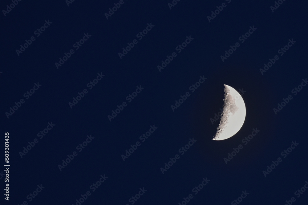 Wieczorny Księżyc - obrazy, fototapety, plakaty 