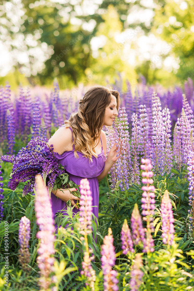 young beautiful pregnant woman in a purple dress is picking flowers in a field of lupines. young beautiful pregnant woman in a purple dress is picking flowers in a field of lupines.