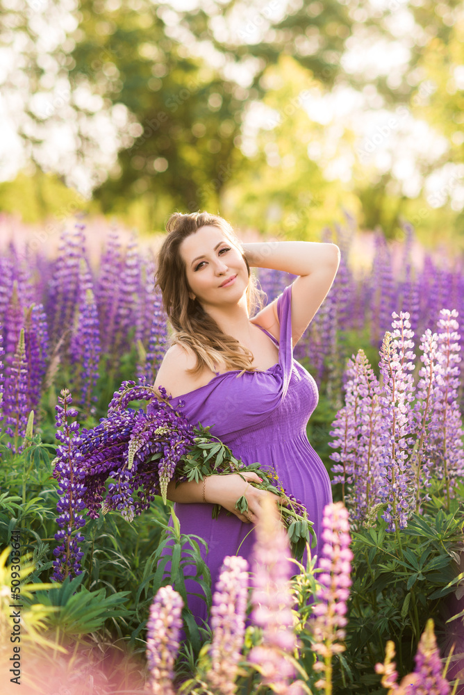 beautiful pregnant girl in a purple dress is picking flowers in a field of lupines. A woman with a bouquet of purple flowers beautiful pregnant girl in a purple dress is picking flowers in a field of lupines. A woman with a bouquet of purple flowers