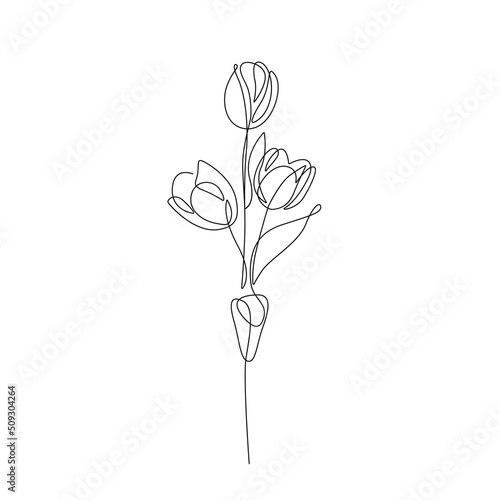 One Line Vector Drawing of Tulip Flowers. Botanical Modern Single Line Art, Aesthetic Contour. Perfect for Home Decor, Wall Art Posters, or t-shirt Print, Mobile Case. Continuous Line Drawing 