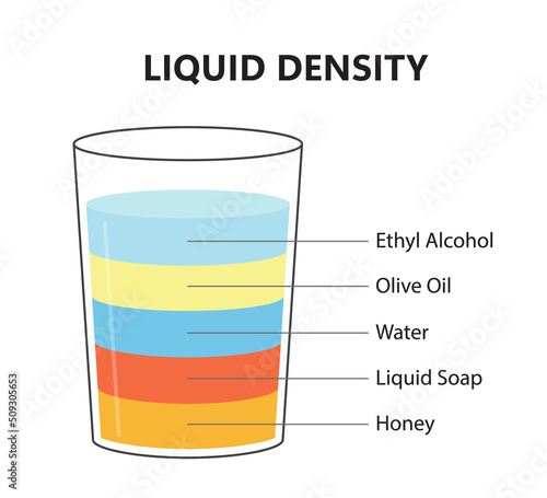 Liquid density scientific experiment concept. Separate fluid layers. Laboratory experiment with density of oil, water, honey, soap and alcohol. Different types of liquid in glass. Vector illustration. photo