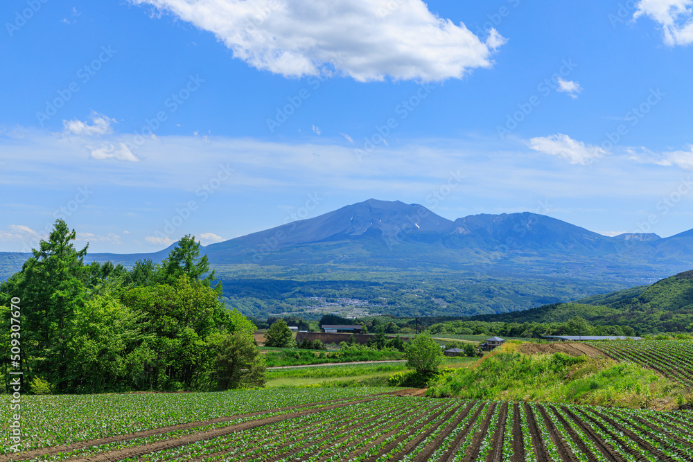 浅間山 浅間山