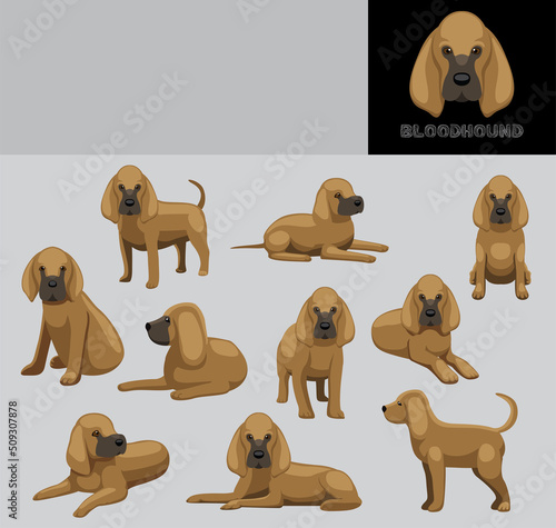 Dog Bloodhound Cartoon Vector Illustration Color Variation Set