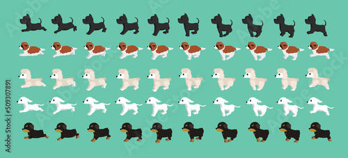 Dog Rottweiler Saluki Standard Poodle Great Dane Saint Bernard Walking Running Cartoon Vector Set