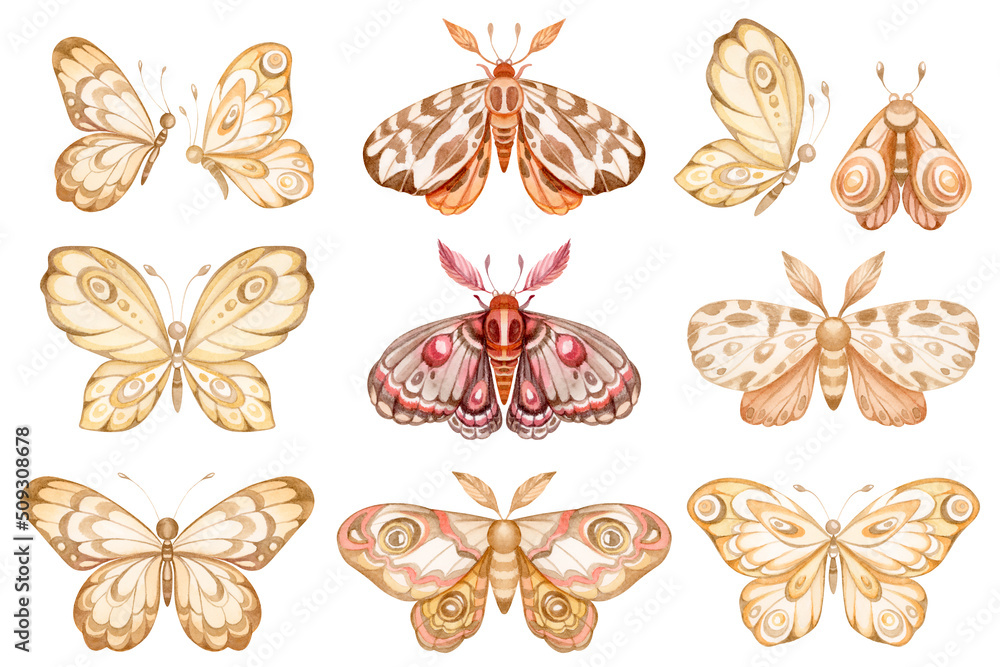 Set of watercolor Butterflies and Moths isolated on white background. Vintage night butterfly illustration. Insects collection for logo, invitation, greeting cards design Set of watercolor Butterflies and Moths isolated on white background. Vintage night butterfly illustration. Insects collection for logo, invitation, greeting cards design