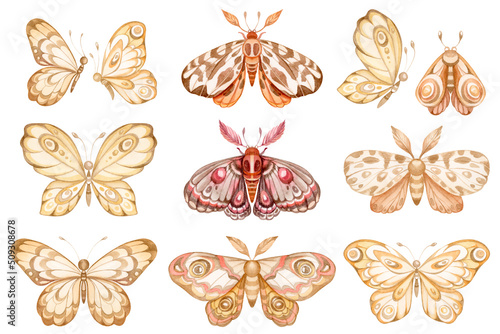 Set of watercolor Butterflies and Moths isolated on white background. Vintage night butterfly illustration. Insects collection for logo, invitation, greeting cards design